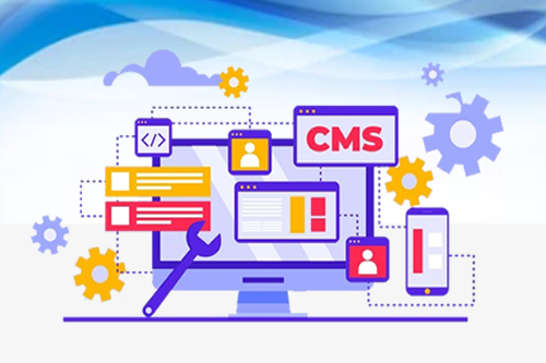 dynamic-web-development-cms
